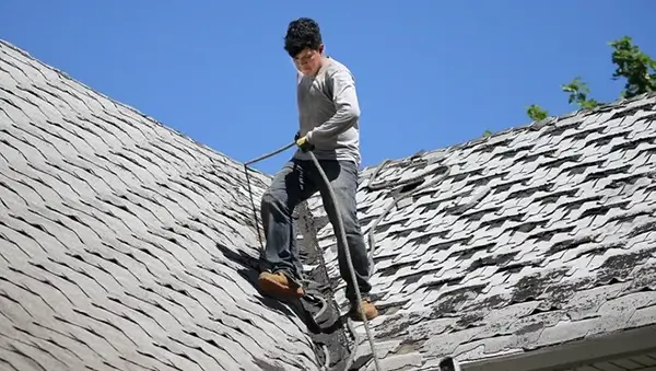 How to Remove Mold from Your Roof?