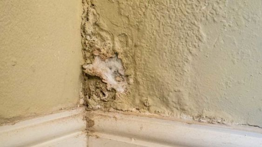 Damp wall repair